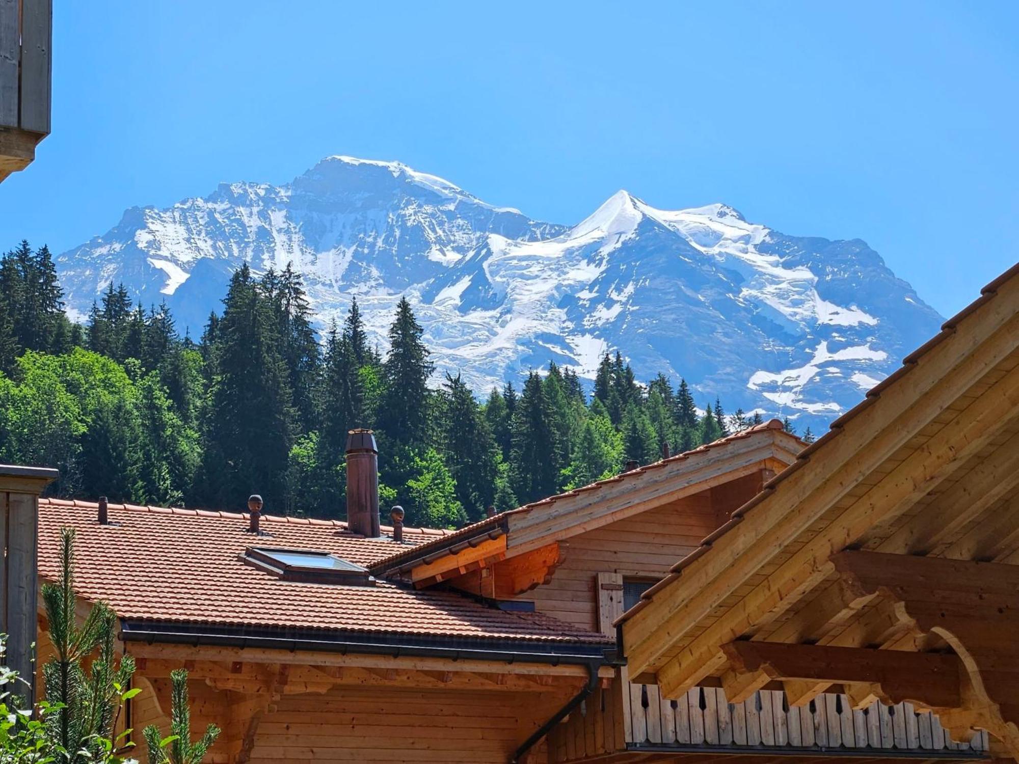 Apartment Panoramapark Soleil Haus D Apt 3 By Interhome Wengen Exterior foto